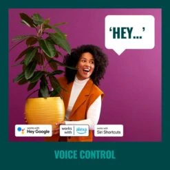 WiZ 48ft Smart Ambient Outdoor Festoon Lights -Lighting Sale Store 30838383 alt05