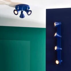 Elements Briggs 4 Light Adjustable Spotlight -Lighting Sale Store 30894865 alt09