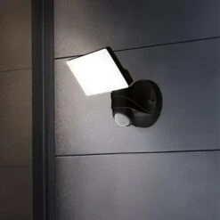 EGLO Pagino LED Indoor Outdoor Sensor Wall Spotlight